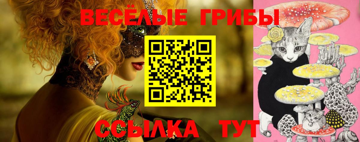 Псилоцибиновые грибы GOLDEN TEACHER  Вход с VPN  Рубцовск 