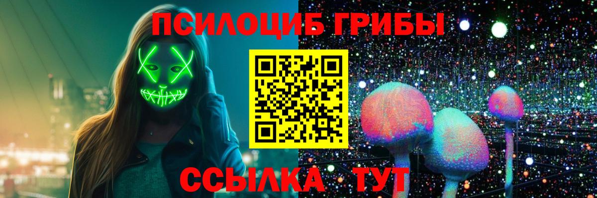 Псилоцибиновые грибы GOLDEN TEACHER Рубцовск